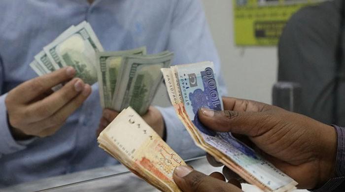 Tipo de cambio en Pakistán: dólar estadounidense (USD), libra esterlina (GBP), riyal saudí (SAR), dirham de los EAU (AED), 24 de septiembre de 2019 | Otro