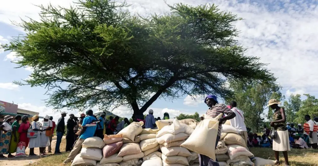 "Preferiríamos la comida": Zimbabwe teme que una hambruna esté en su futuro