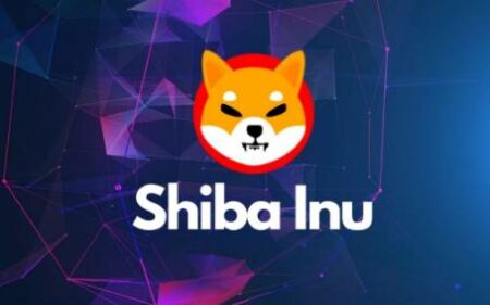 La comunidad Shiba Inu es asombrosa dice el CEO de Switchere
